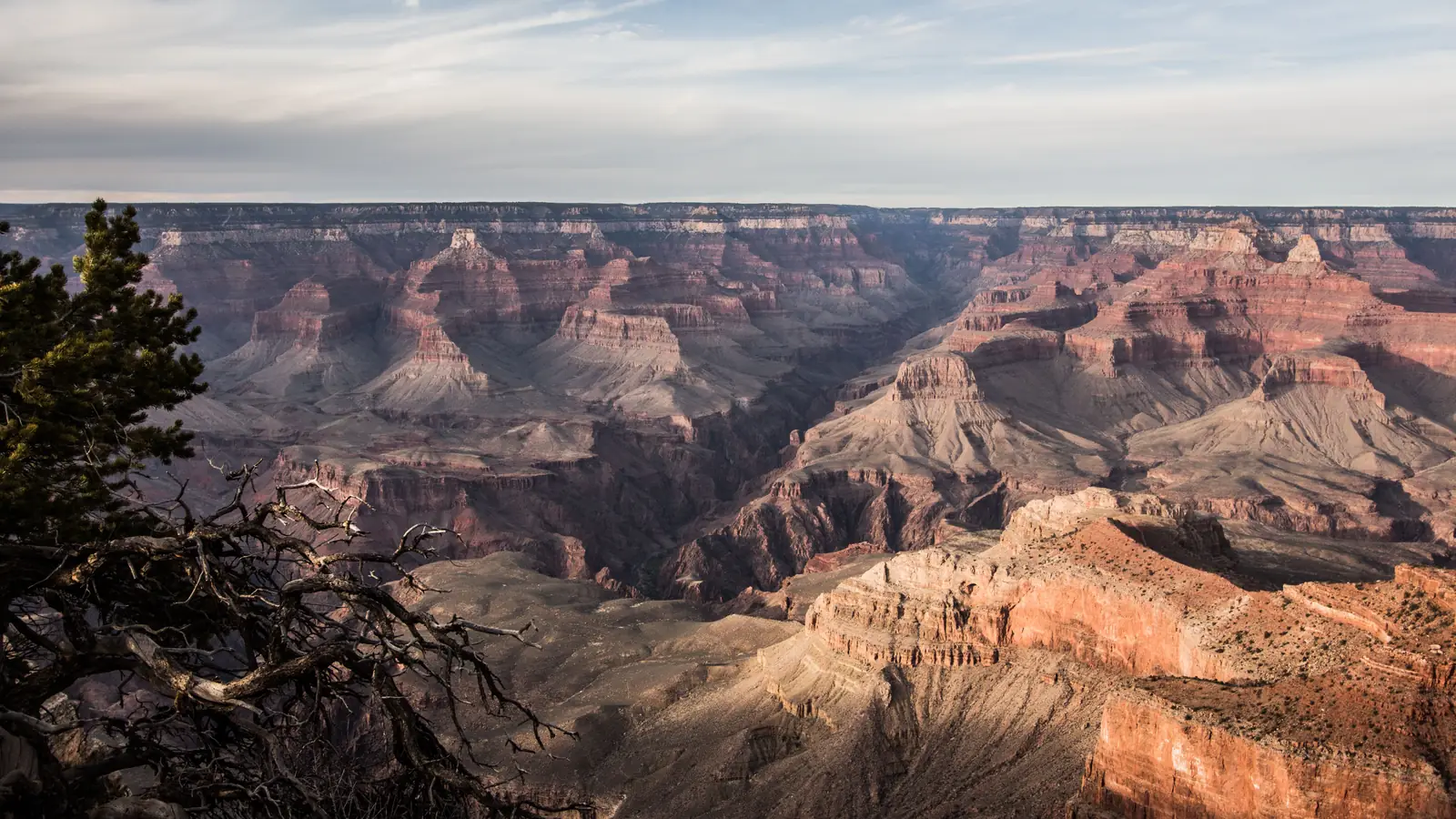 The Grand Canyon in northern Arizona under a clear sky.