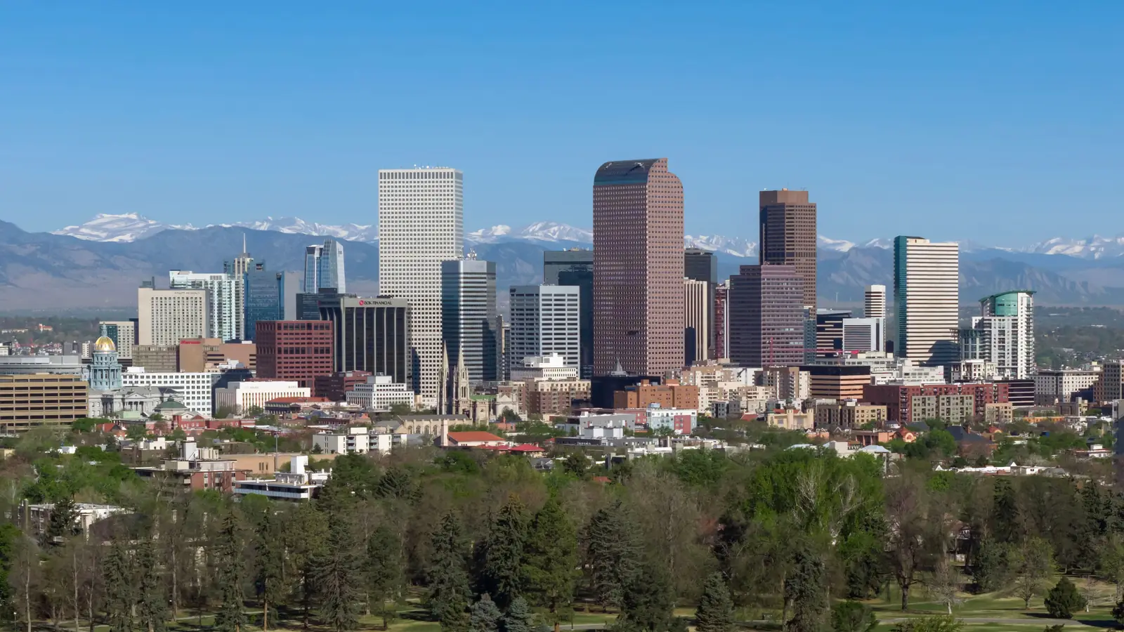 The downtown Denver skyline with the snow-capped Rocky Mountains on the horizon, seen over the trees of City Park.