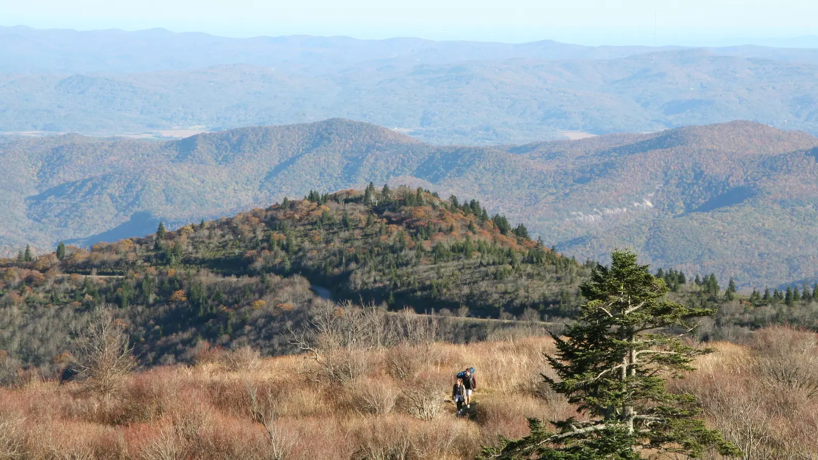 Ridges of the Appalachian Mountains along the Blue Ridge Parkway in North Carolina.