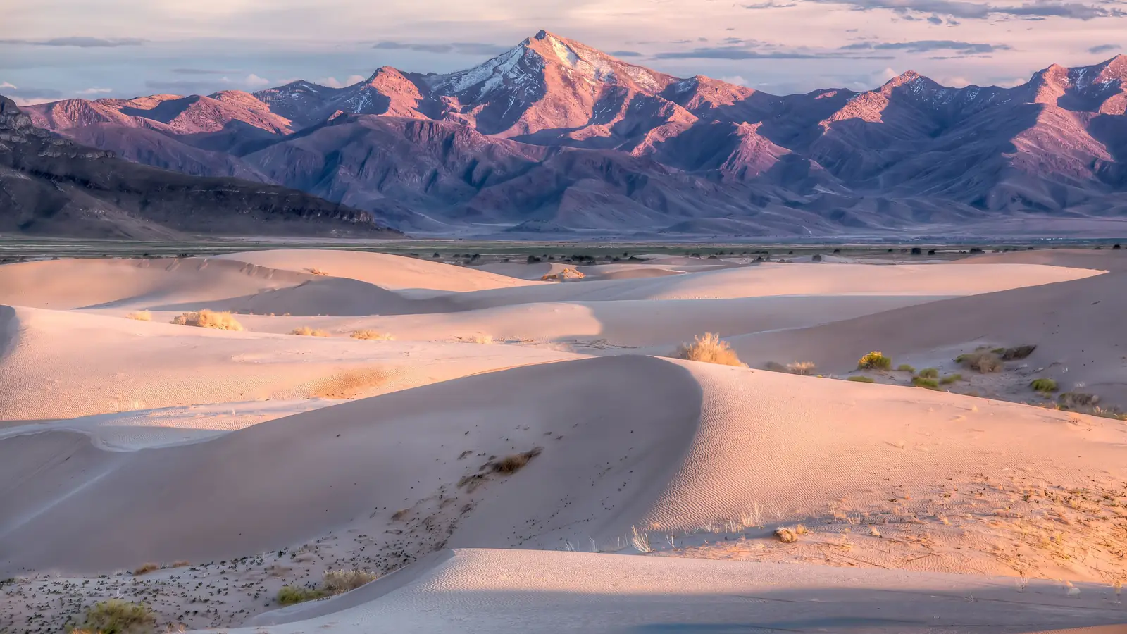 Wind-shaped sand dunes under a blue sky in the West Desert of Utah.